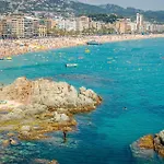 Amazing In * Vidreres