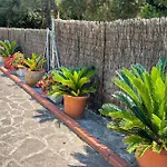 Amazing In Tatil Evi *