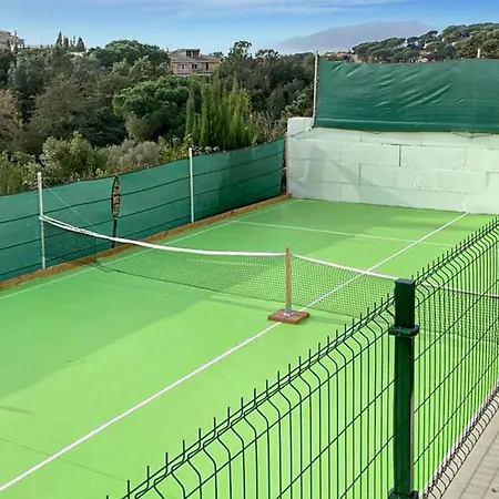 Pet Friendly In *