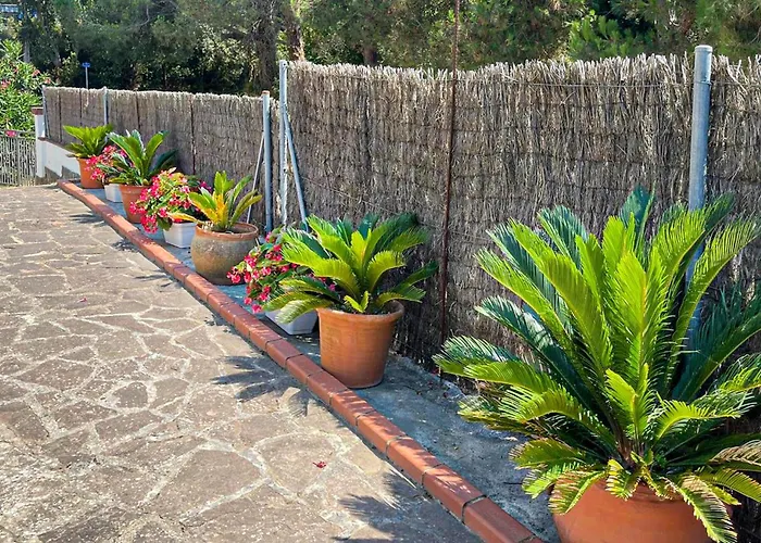 Pet Friendly In Casa vacanze *
